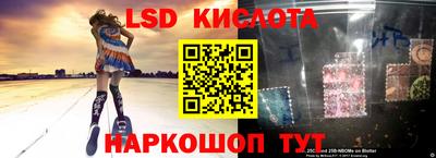 прущие крисы Кандалакша