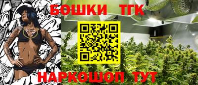 прущие крисы Кандалакша